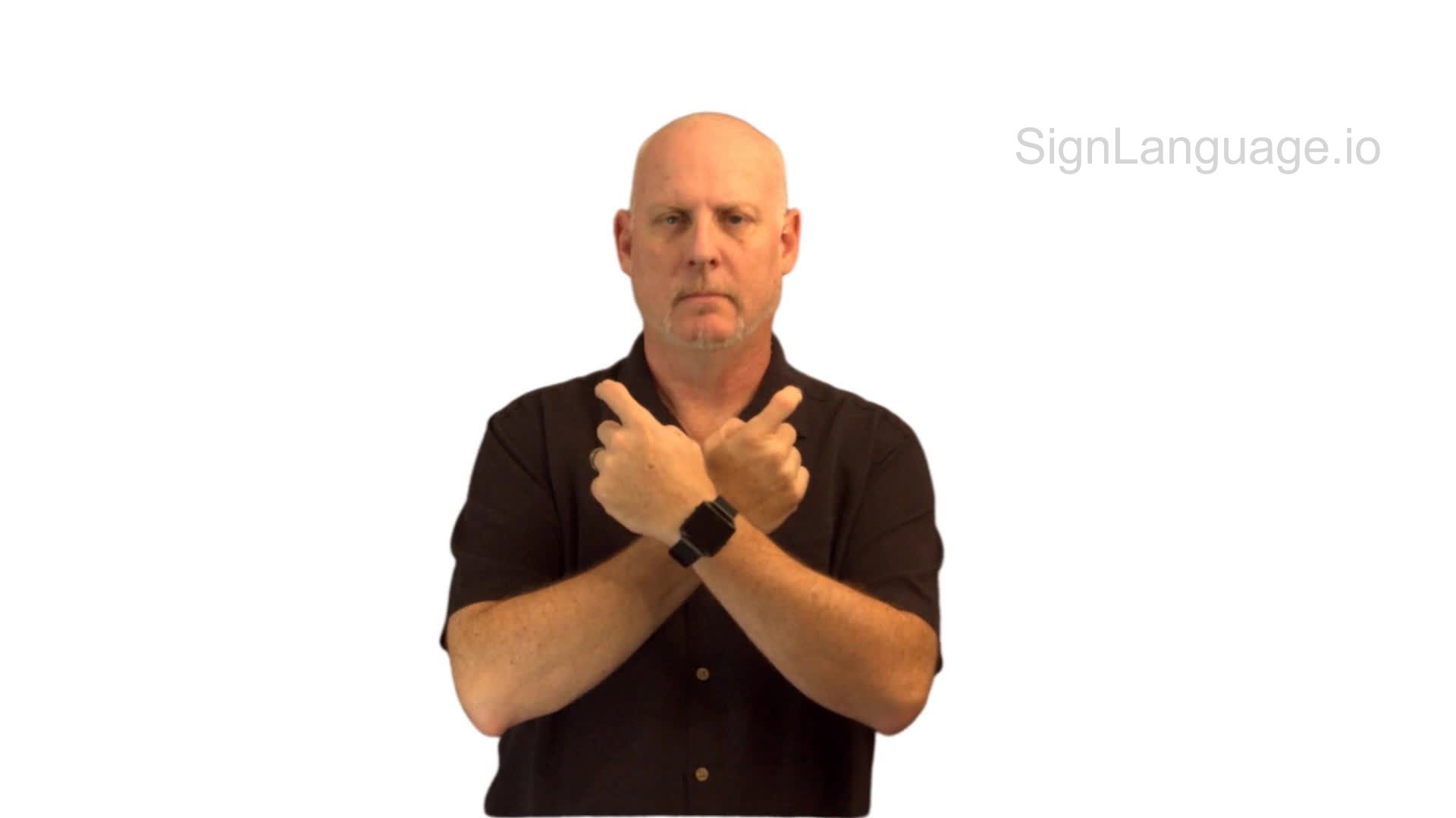 bat in ASL Example 1 American Sign Language