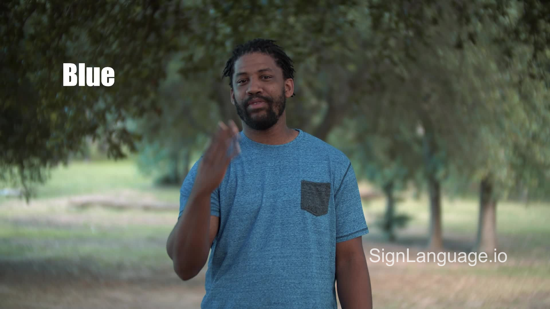 blue in ASL Example 4 American Sign Language