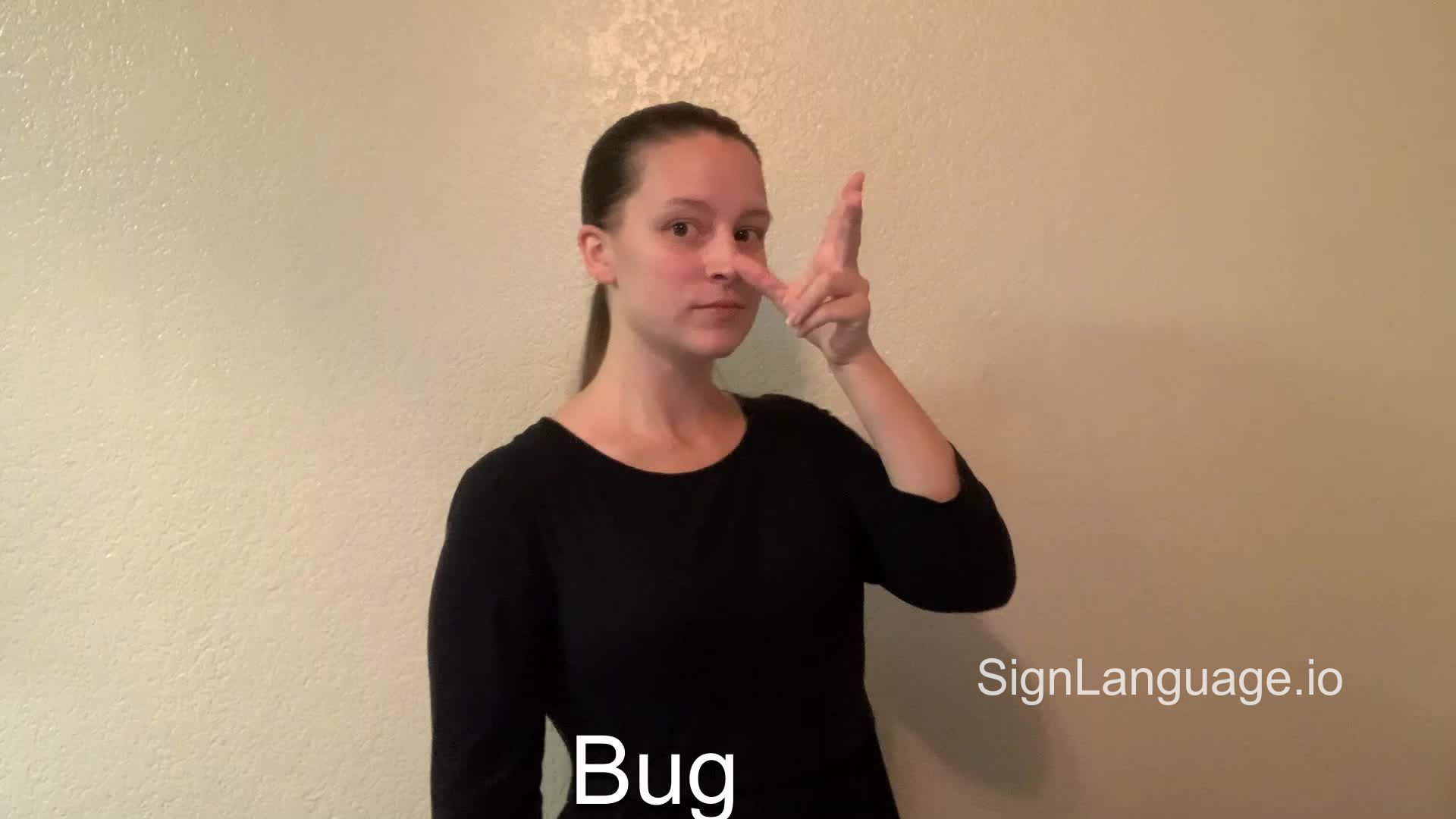 bug in ASL Example 2 American Sign Language