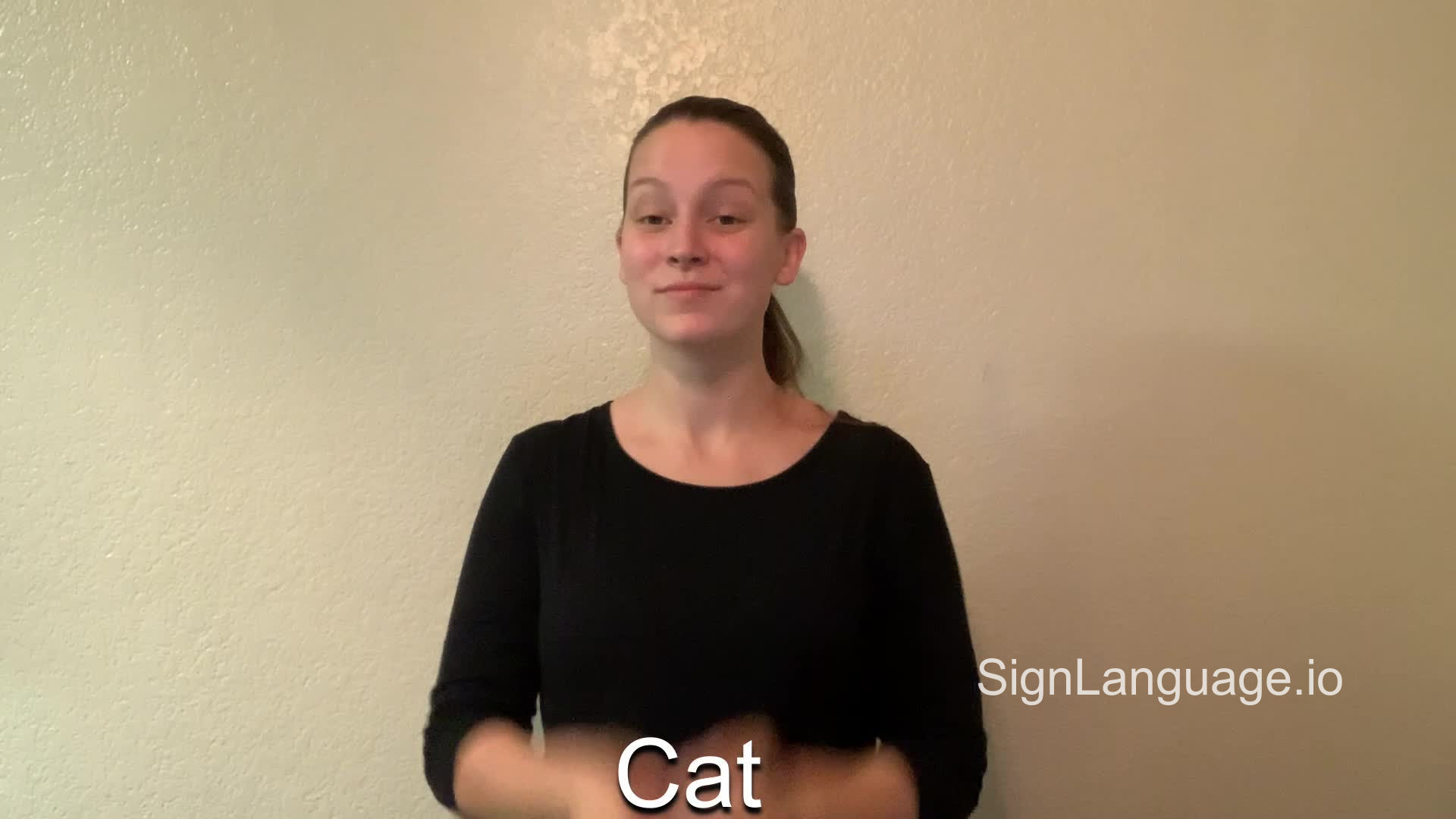 cat in ASL Example 7 American Sign Language