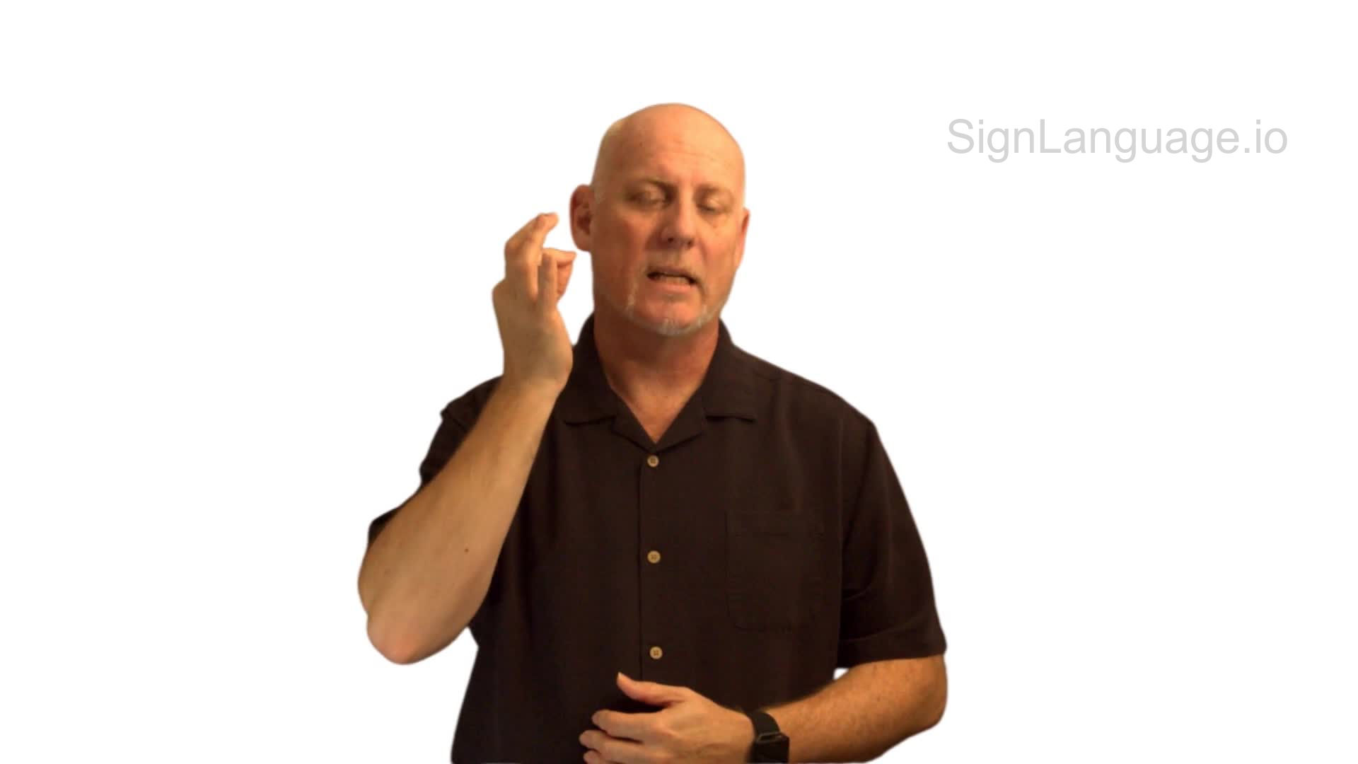 cat in ASL Example 8 American Sign Language