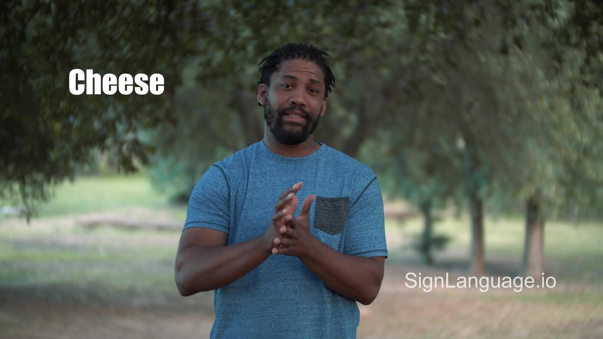 cheese in ASL Example 6 American Sign Language