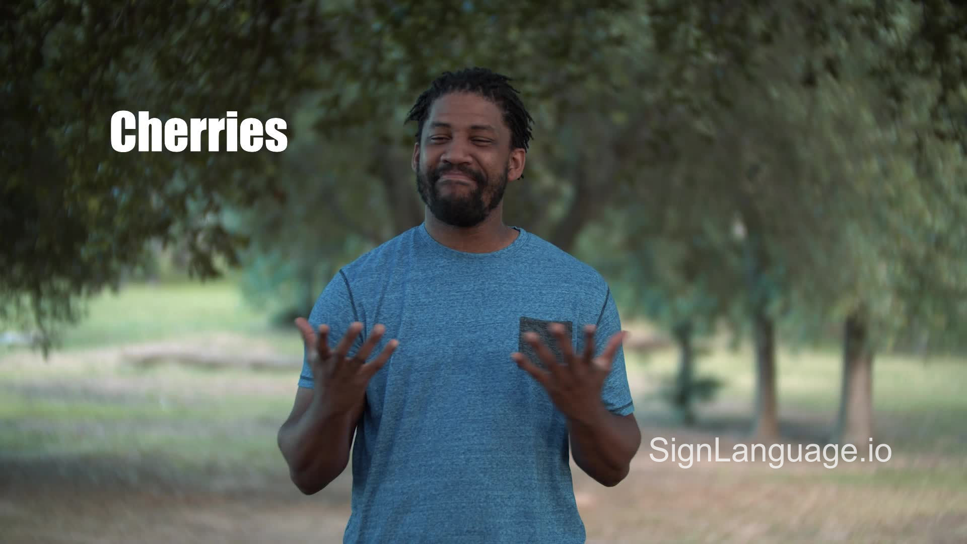 cherries in ASL Example 1 American Sign Language