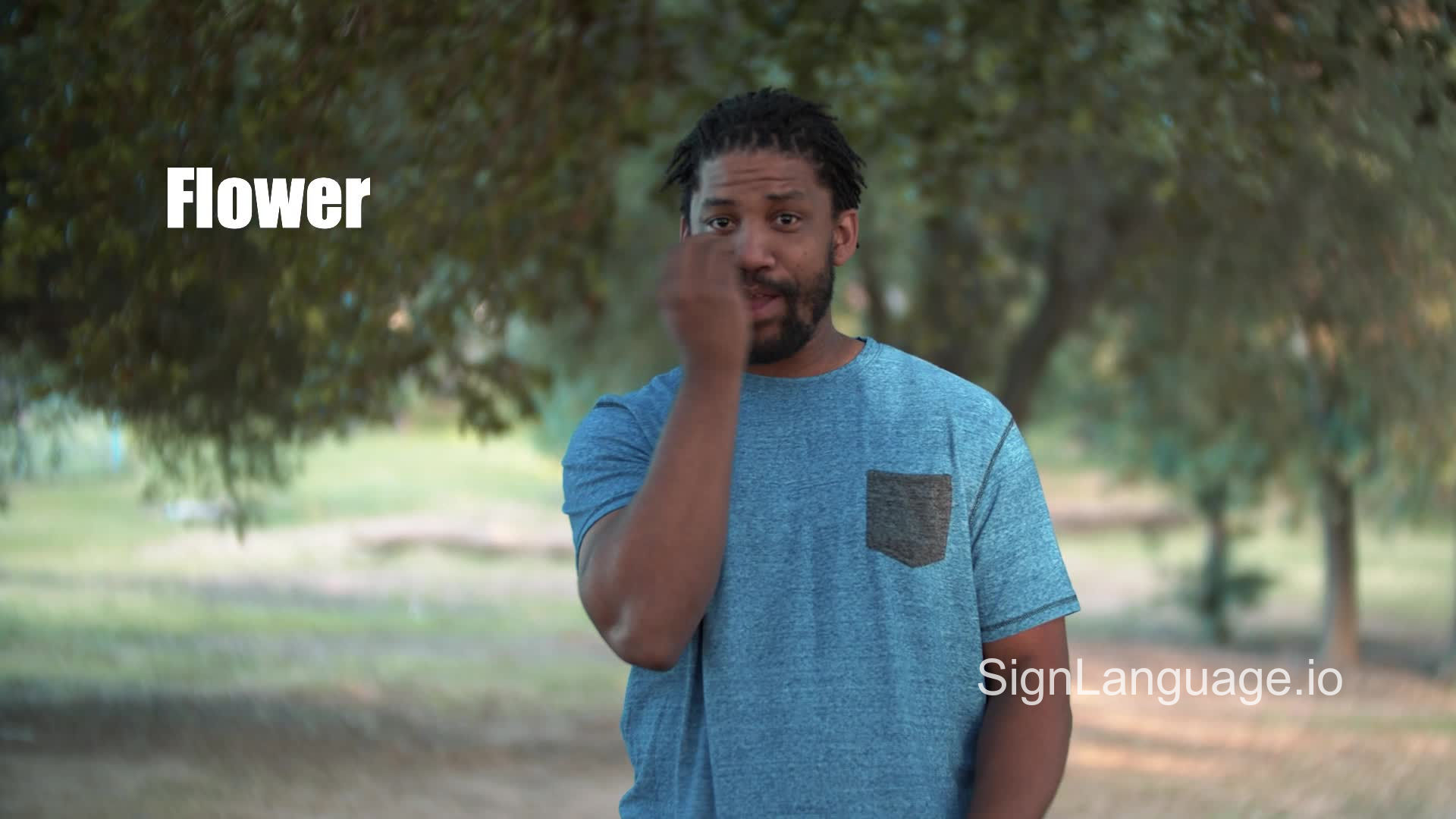 flower in ASL Example 5 American Sign Language
