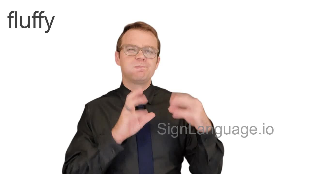 fluffy in ASL Example 1 American Sign Language