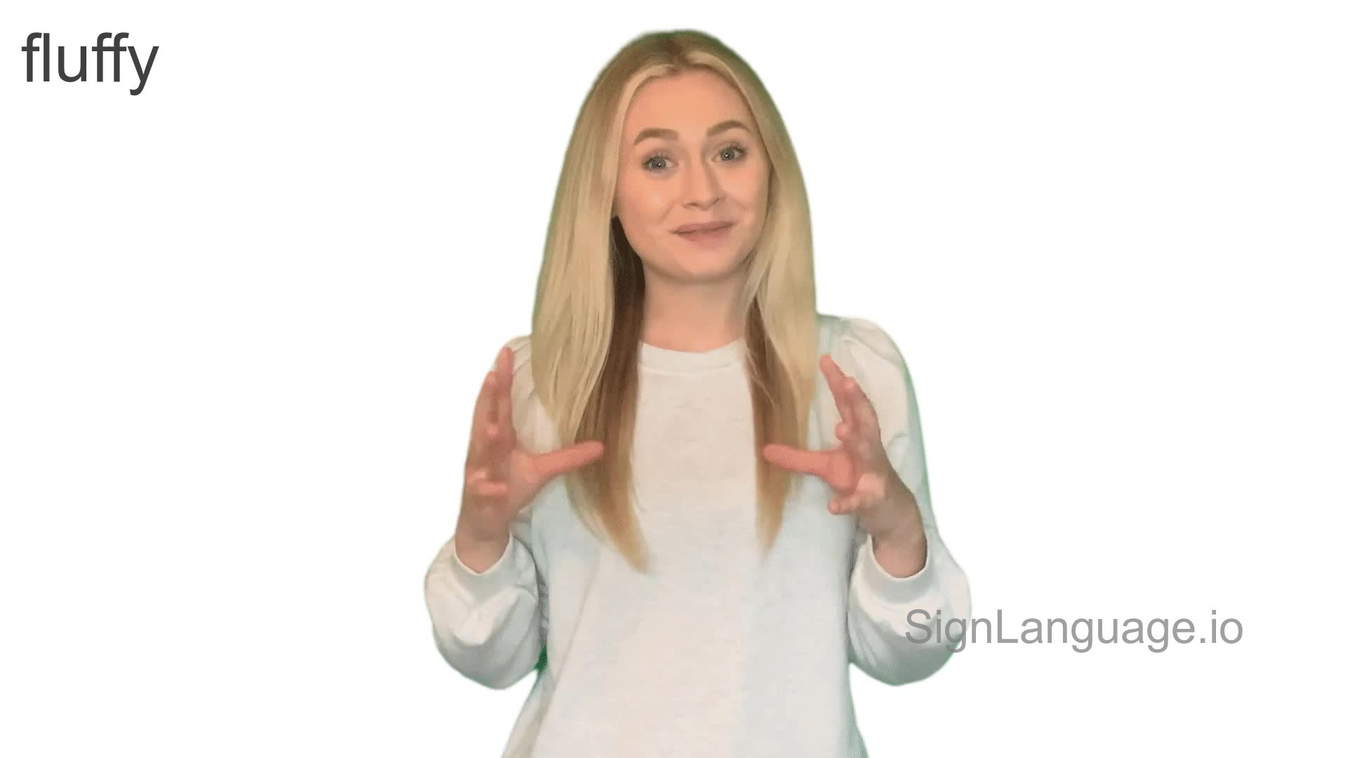 fluffy in ASL Example 2 American Sign Language