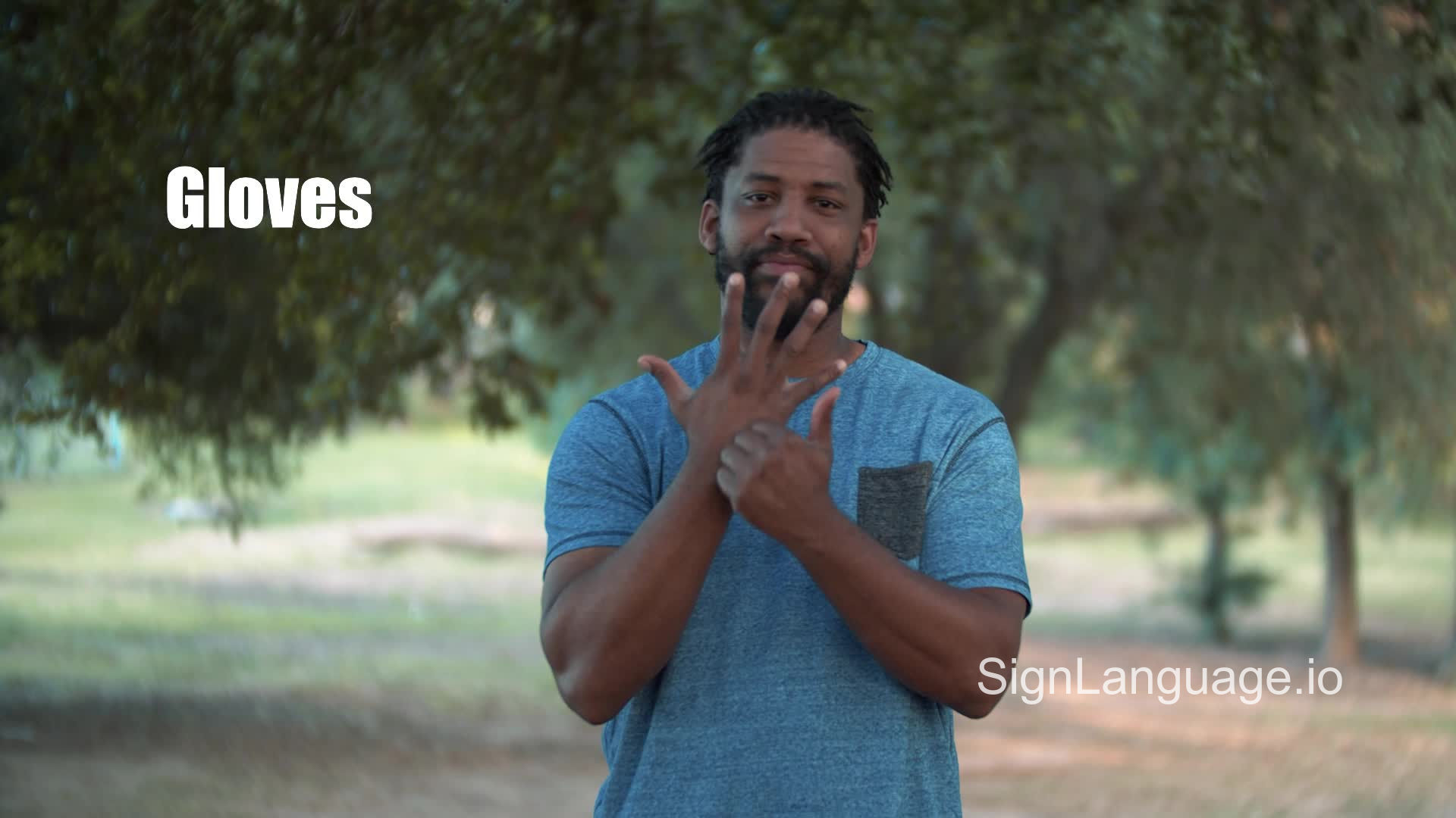 gloves in ASL Example 1 American Sign Language