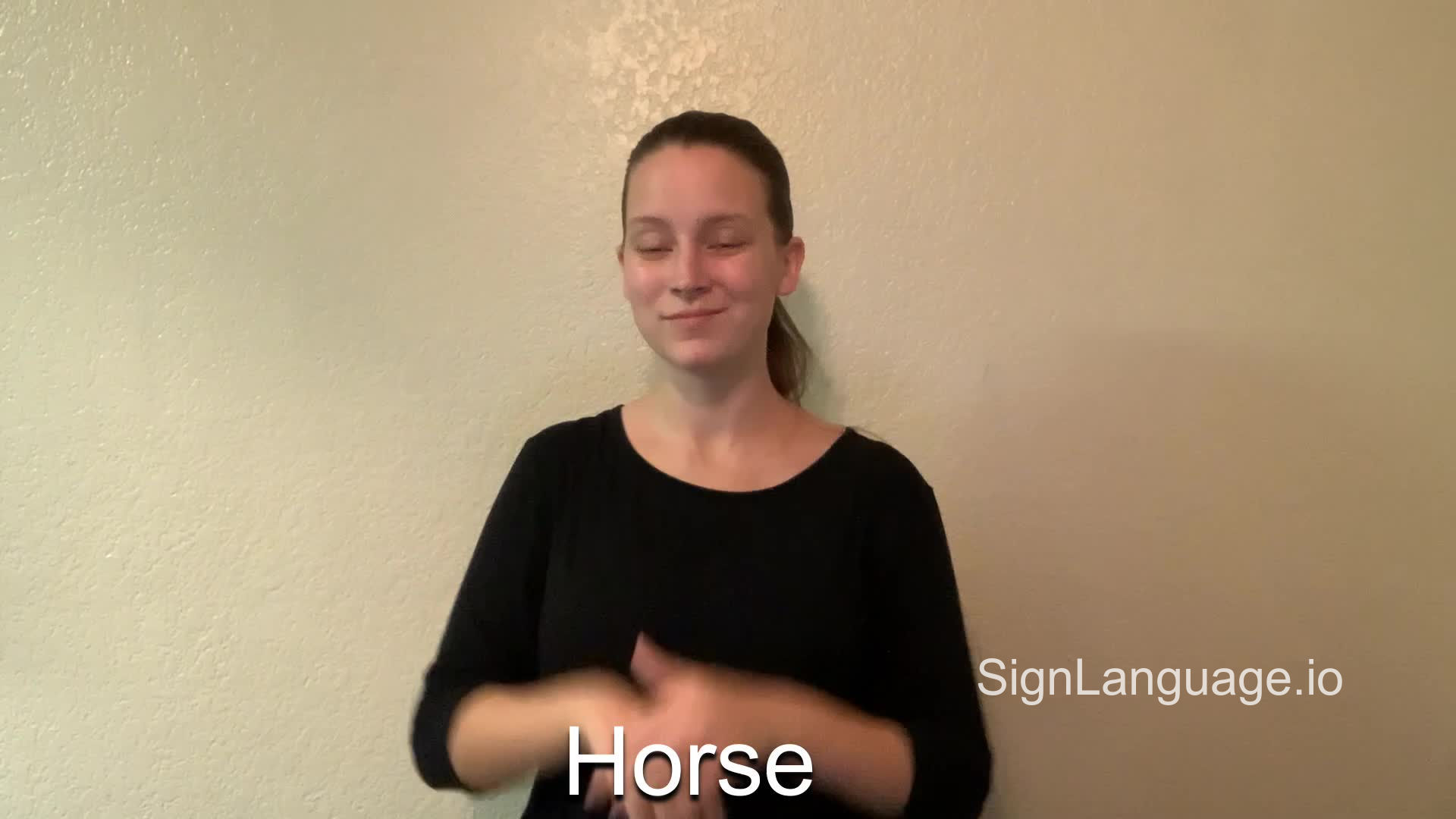 horse in ASL Example 5 American Sign Language