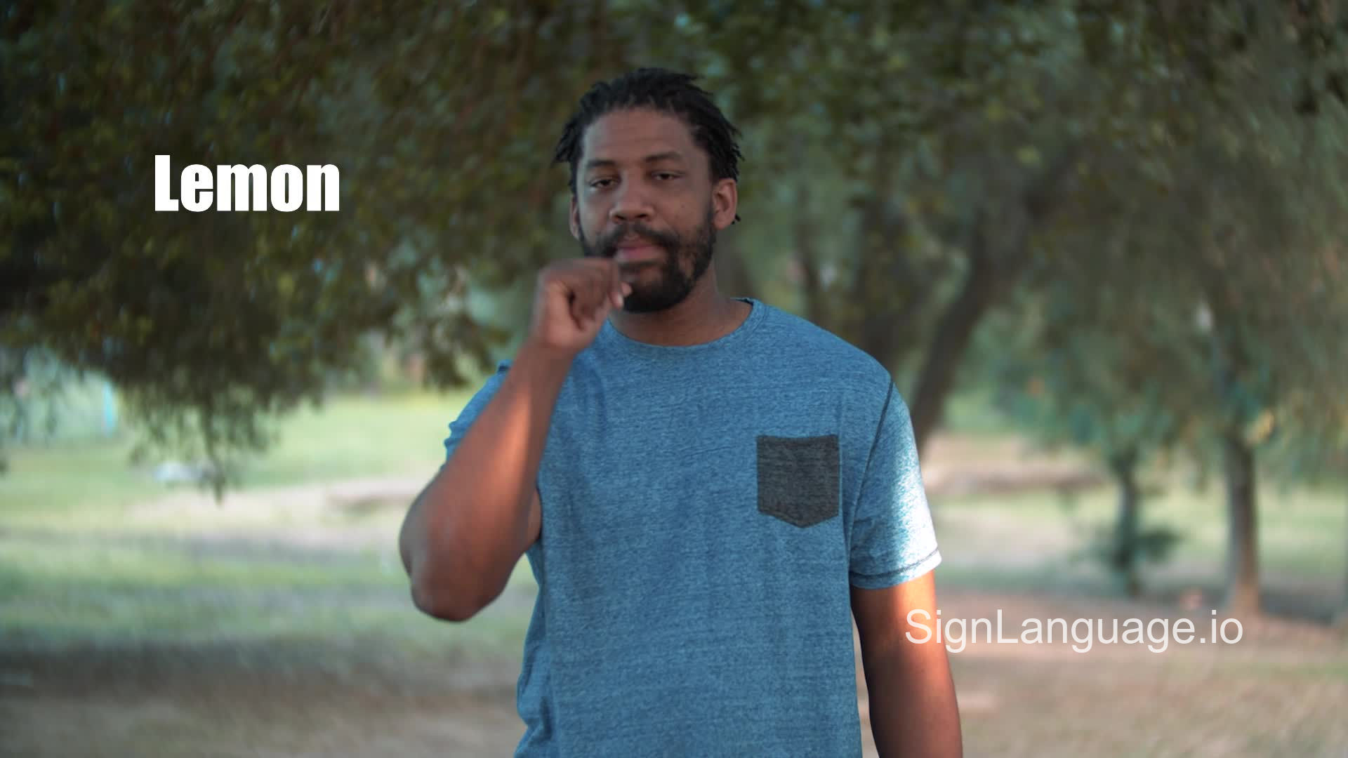 lemon in ASL Example 2 American Sign Language