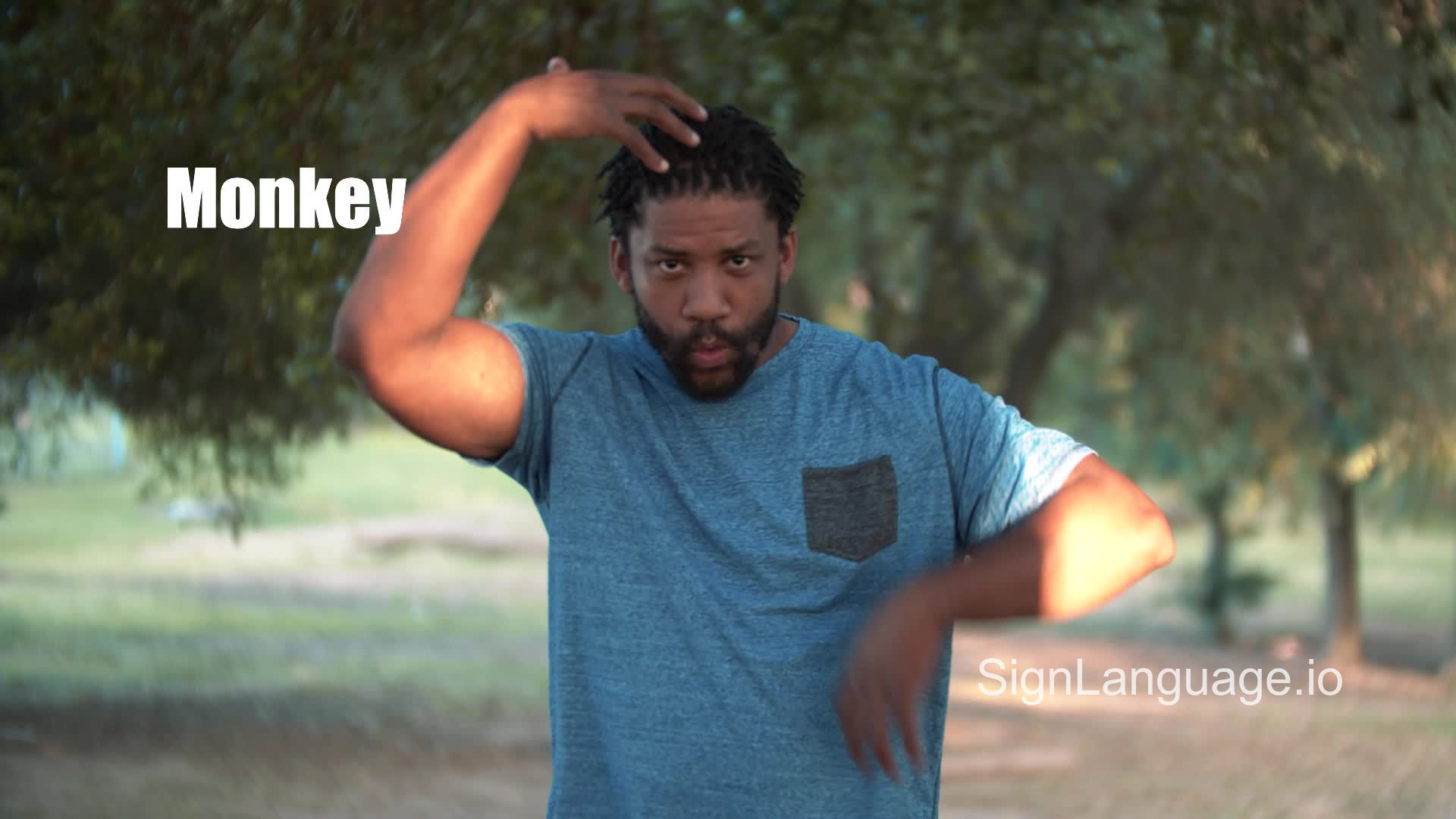 monkey in ASL - Example # 3 - American Sign Language