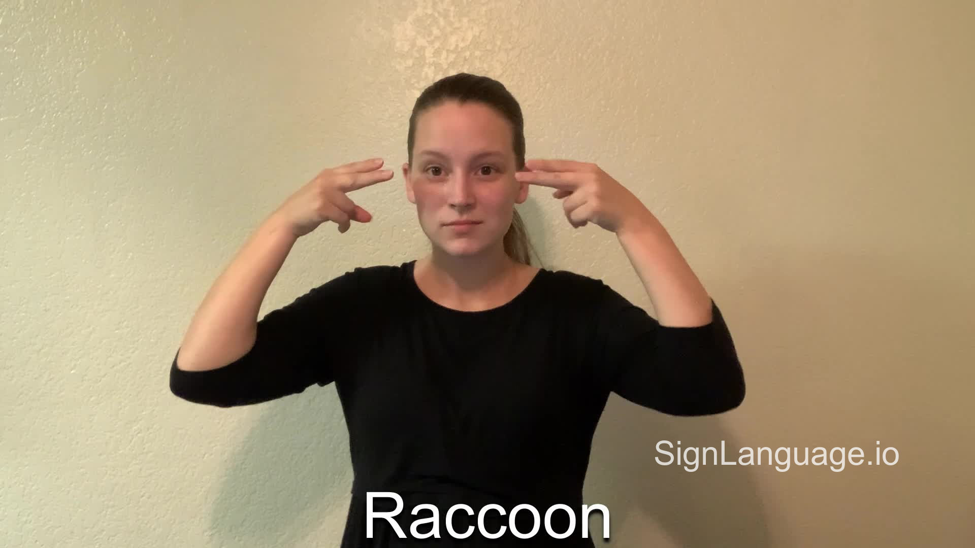 raccoon in ASL - Example # 2 - American Sign Language