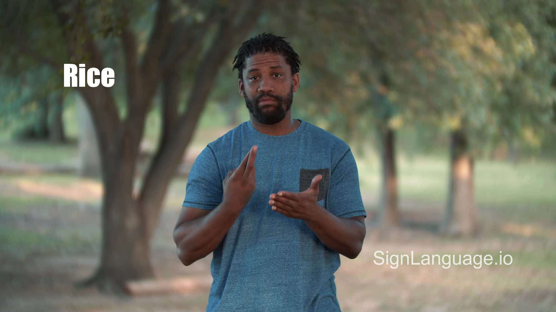 rice in ASL Example 1 American Sign Language