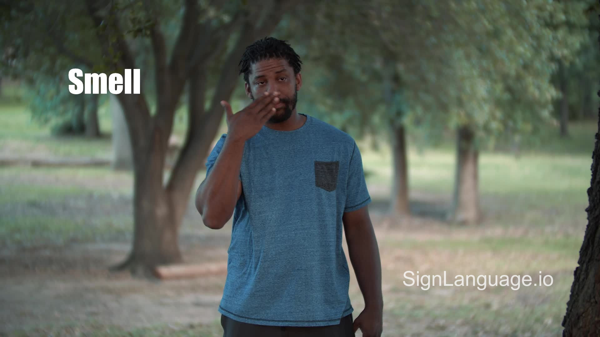 Smell in ASL American Sign Language 1 Video Examples