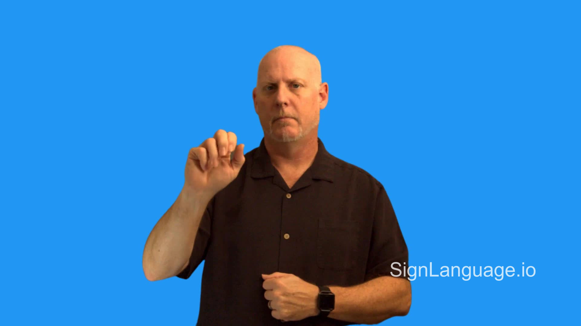 snail in ASL Example 1 American Sign Language