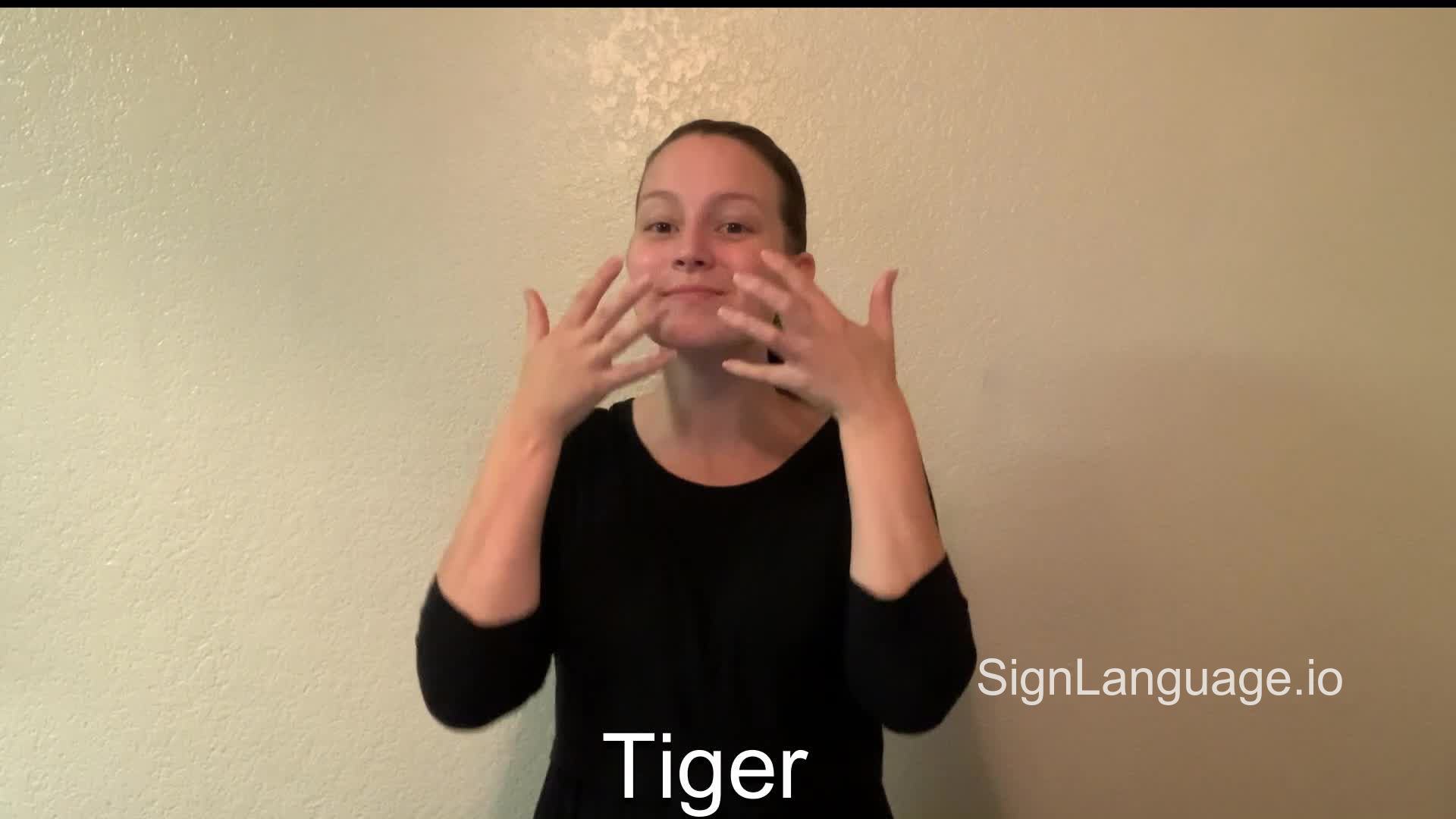 tiger in ASL Example 2 American Sign Language