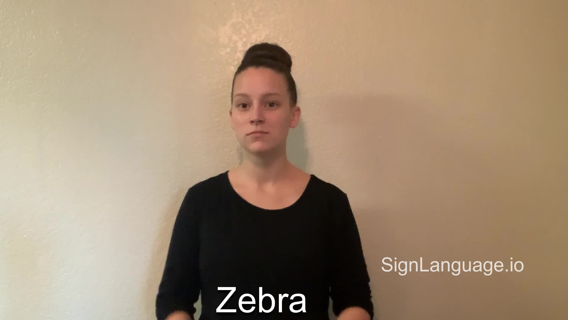 zebra in ASL Example 1 American Sign Language